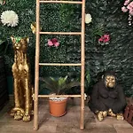 Apartamento The Jungle Strasbourg