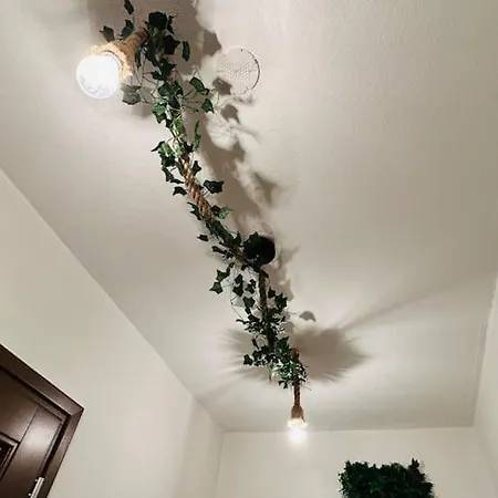 The Jungle Strasbourg Apartment *