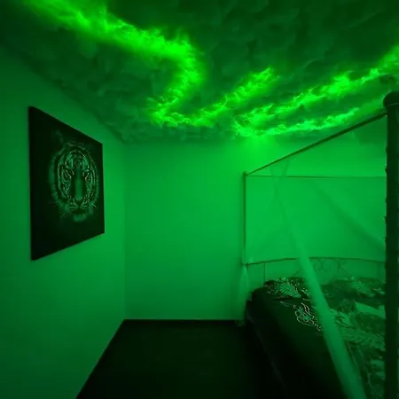 The Jungle Strasbourg Apartment Schiltigheim
