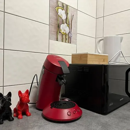 The Jungle Strasbourg *