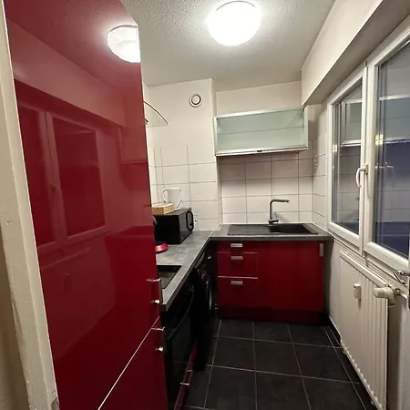 The Jungle Strasbourg *