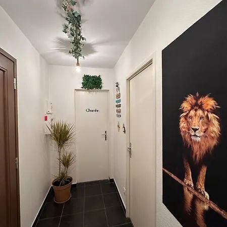 The Jungle Strasbourg Apartment Schiltigheim