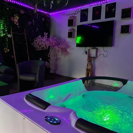 Appartement The Jungle Strasbourg Schiltigheim