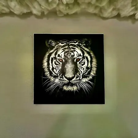 The Jungle Strasbourg