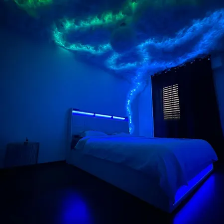 Appartement The Jungle Strasbourg Schiltigheim