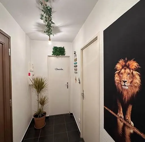 The Jungle Strasbourg Lägenhet Schiltigheim